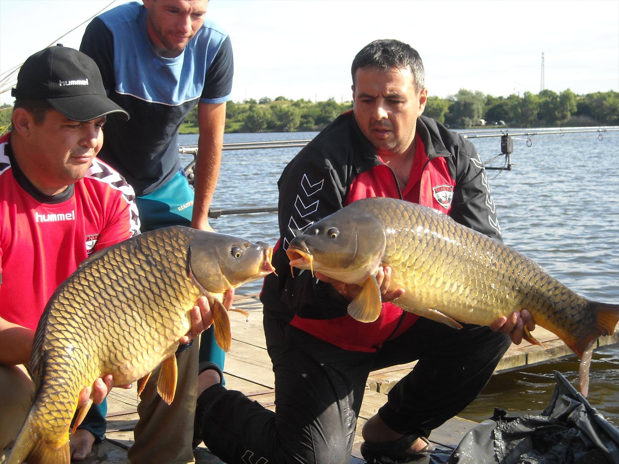 Senior Trophy - 2010 - dscn5770.jpg